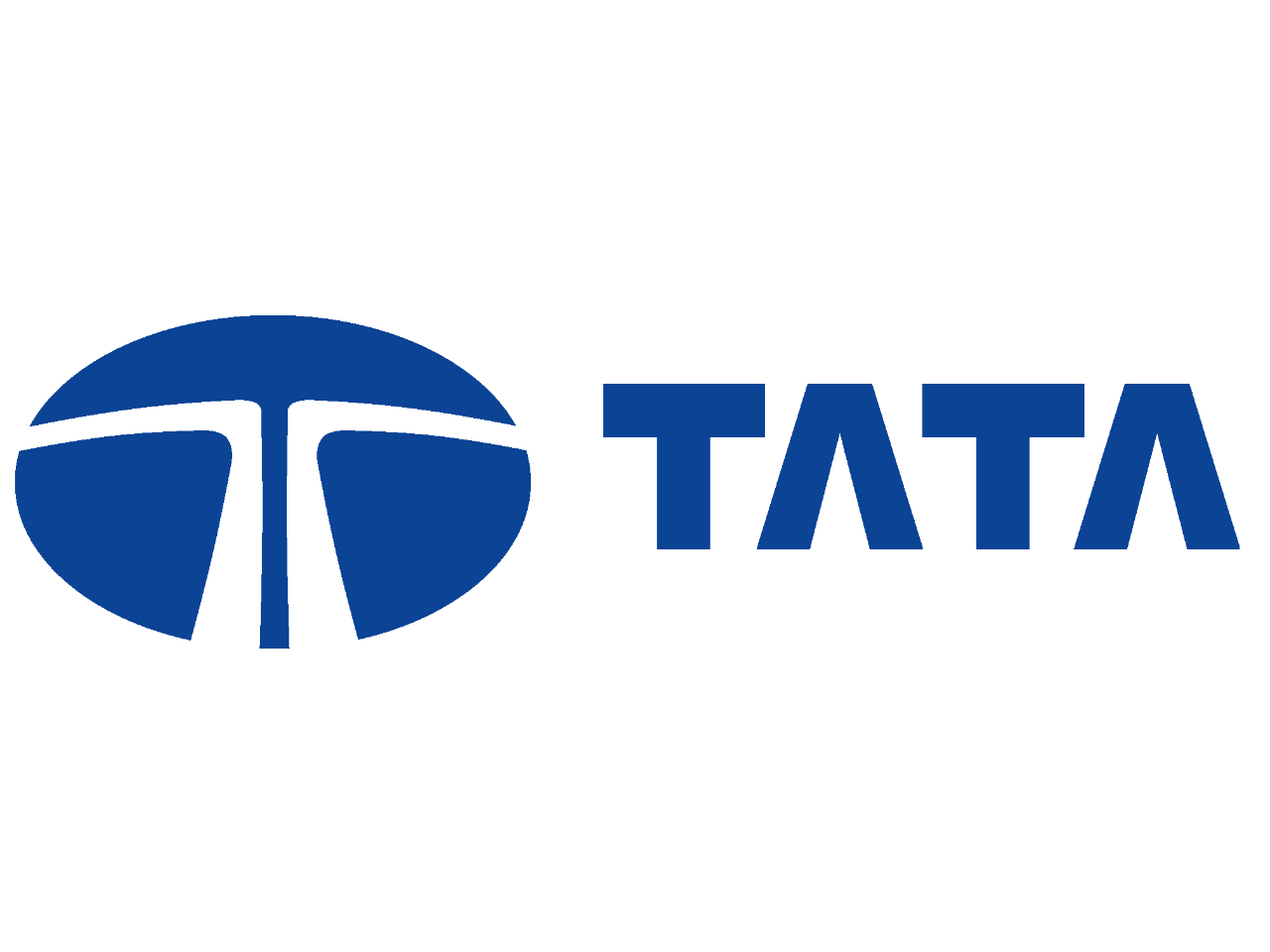 Tata Logo