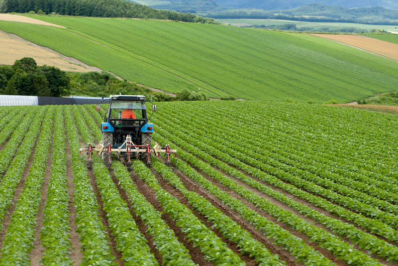 Pioneer Farming